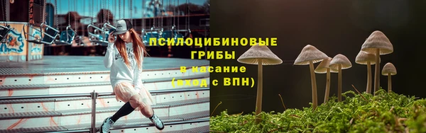 гашик Новодвинск